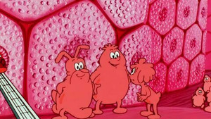 Vignette du programme télé Il était une fois... la vie (La planète cellule) S1 (1/26)