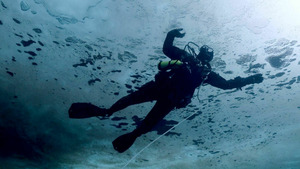 Vignette du programme télé Thalassa, aventures extrêmes (Arctique, l'océan blanc) S2