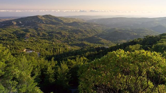 Vignette du programme télé Les sanctuaires d'épices - Saison 2