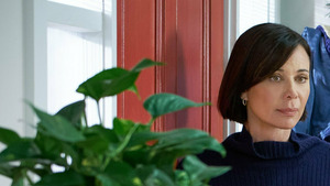 Vignette du programme télé Noël à la maison : la magie des fêtes