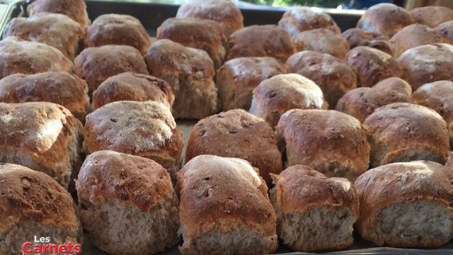 Vignette du programme télé Les carnets de Julie