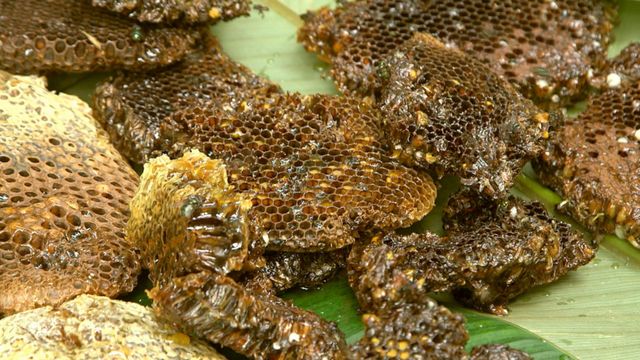 Vignette du programme télé Les maîtres des abeilles - Saison 1