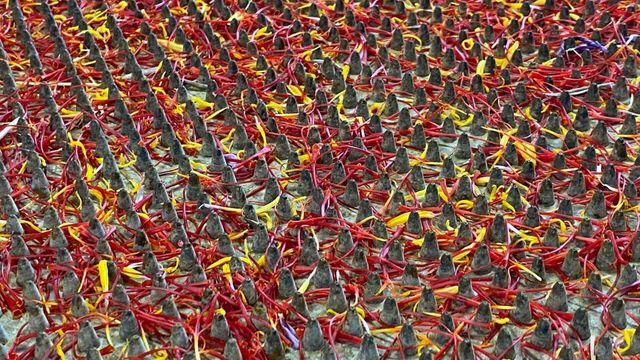 Vignette du programme télé Les sanctuaires d'épices - Saison 2