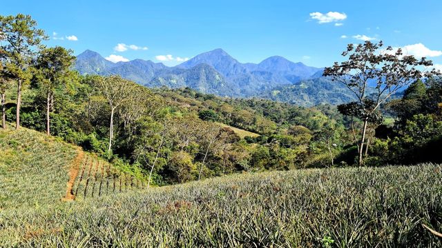 Vignette du programme télé Le Honduras : entre forêt tropicale et plages