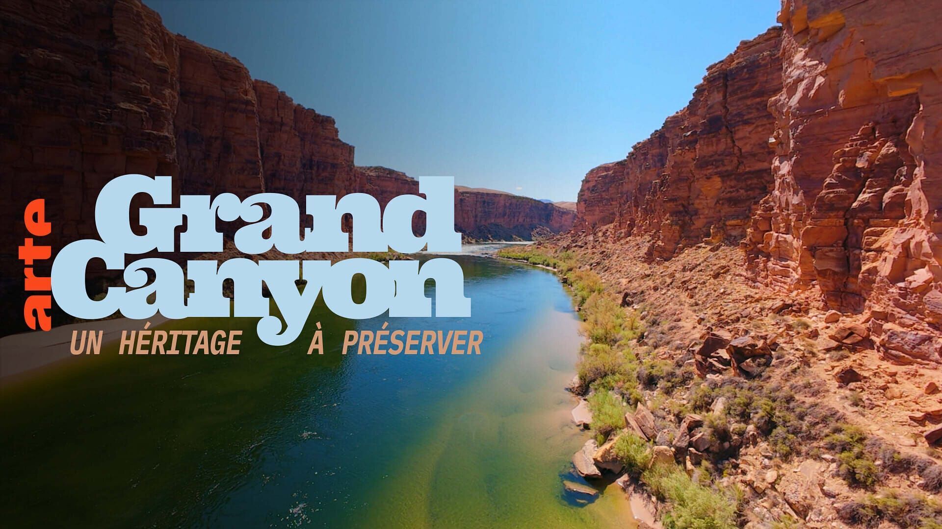 Vignette du programme télé Merveilles de la nature