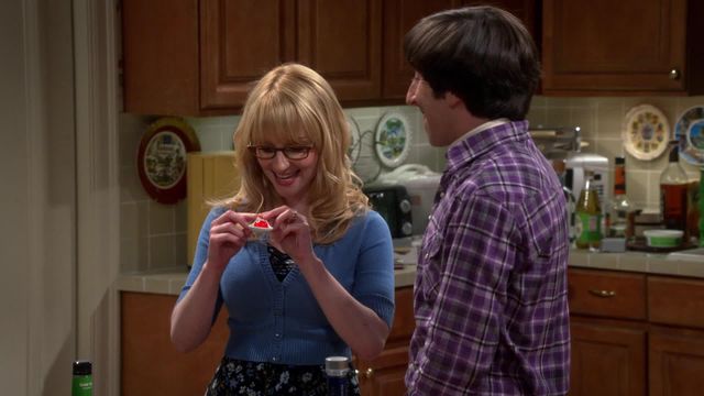 Vignette du programme télé Big Bang Theory - Saison 8