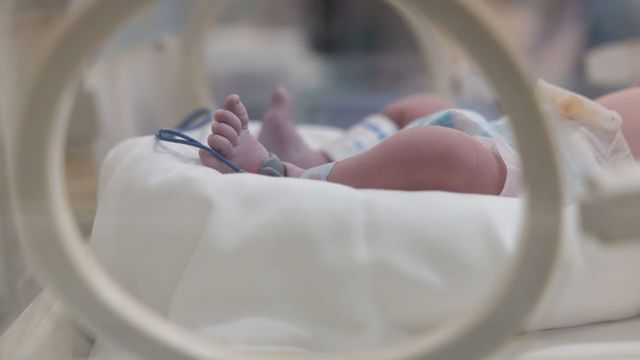 Vignette du programme télé 100 jours à la maternité - Saison 1