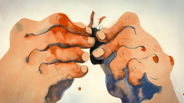 Vignette du programme télé Percebes