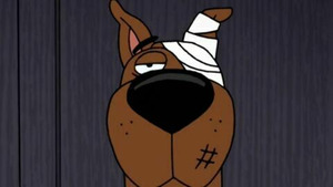 Vignette du programme télé Trop cool, Scooby-Doo ! (Comment entraîner vos trouillards) S2 (4/26)