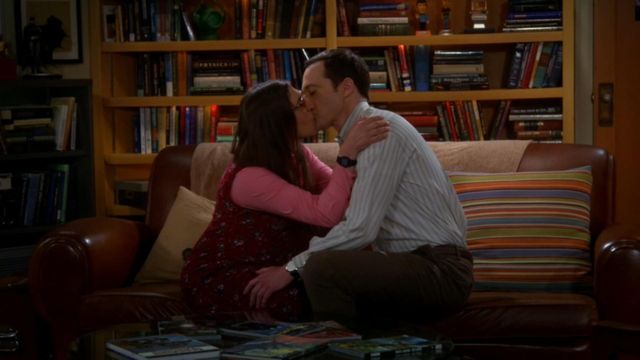 Vignette du programme télé Big Bang Theory - Saison 8