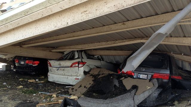 Vignette du programme télé Nature meurtrière - Saison 1