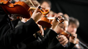 Vignette du programme télé Les matinales