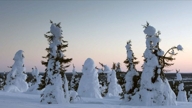 Vignette du programme télé La Scandinavie arctique