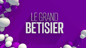 Vignette du programme télé Le grand bêtisier