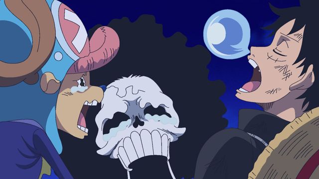 Vignette du programme télé One Piece - Saison 19