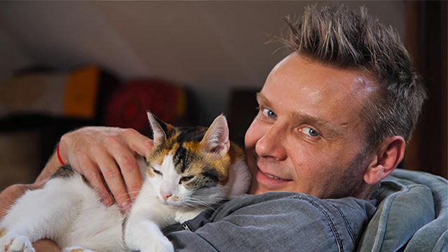 Vignette du programme télé La vie secrète des chats - Saison 3