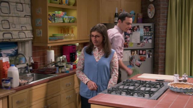 Vignette du programme télé Big Bang Theory - Saison 10