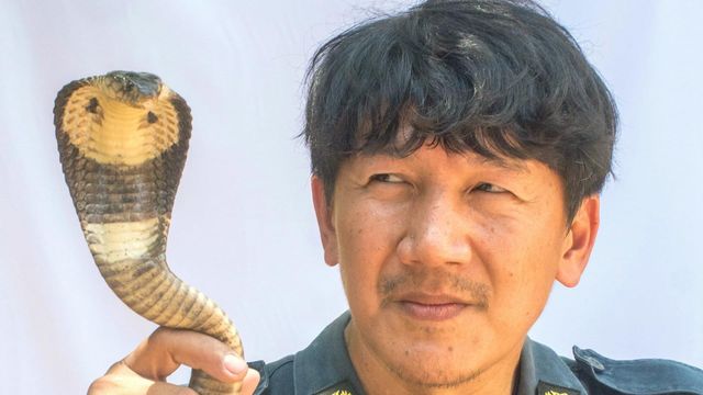 Vignette du programme télé GEO Reportage