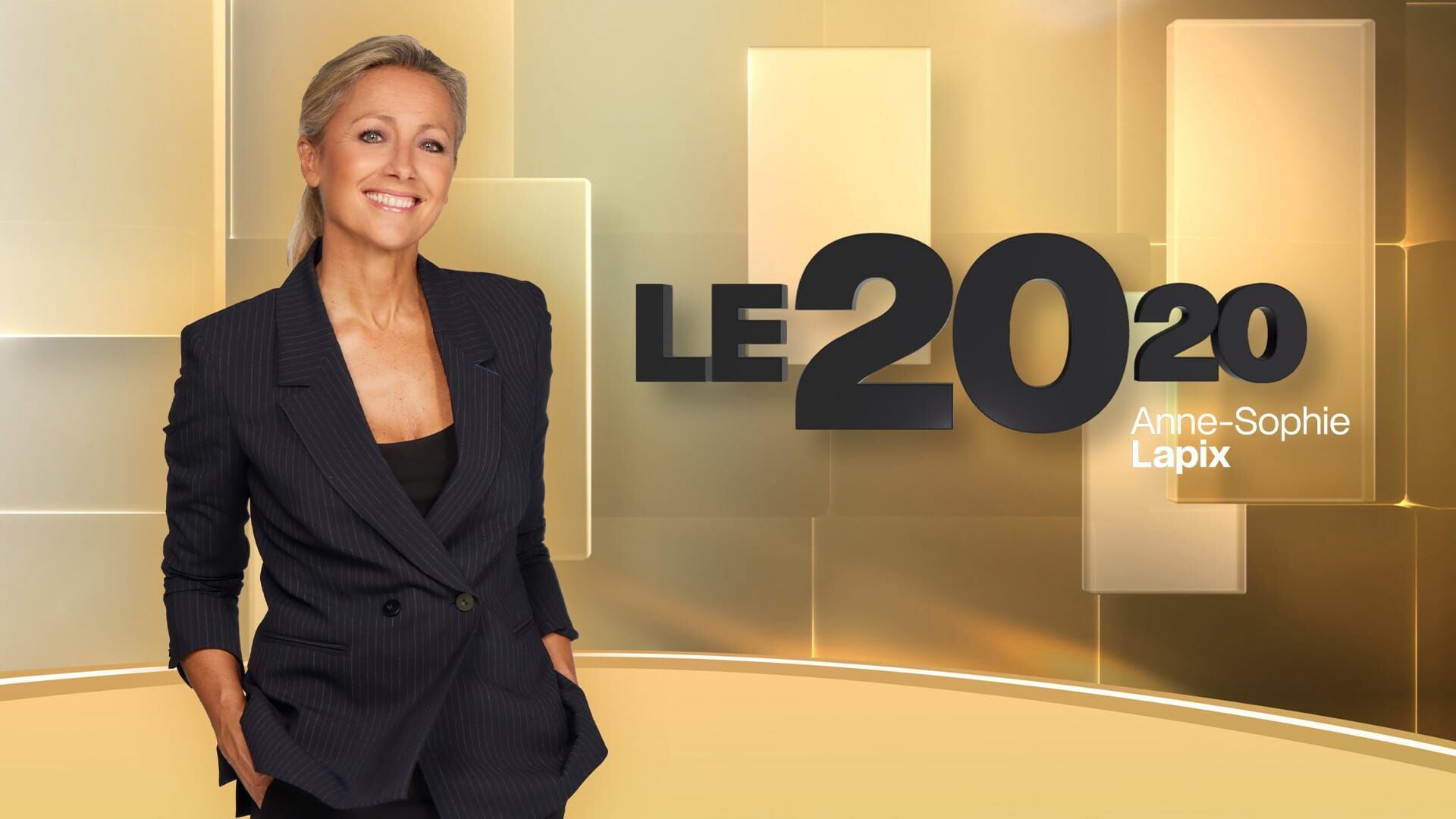 Vignette du programme télé Le 2010, Anne-Sophie Lapix