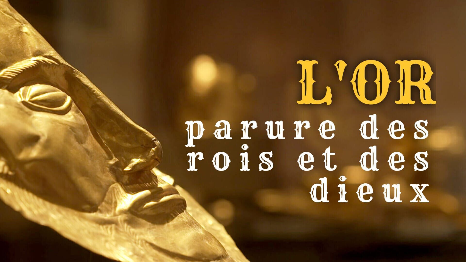 Vignette du programme télé L'or, parure des rois et des dieux