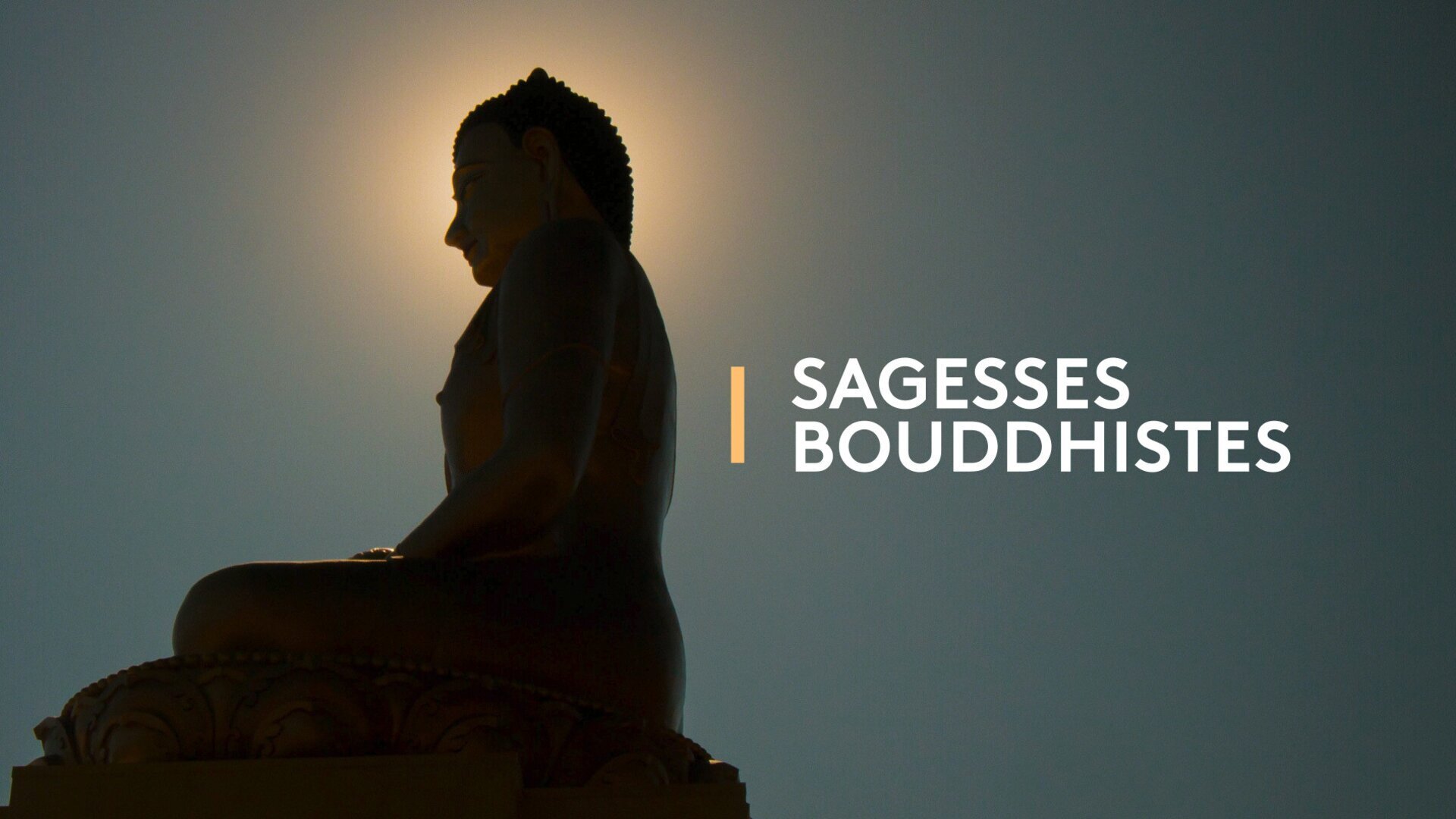 Vignette du programme télé Sagesses bouddhistes