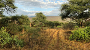 Vignette du programme télé Des trains pas comme les autres (Kenya, destinations secrètes) S11 (6/8)