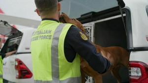 Vignette du programme télé Douanes sous haute surveillance S16 (12/20)