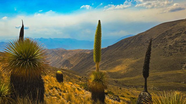 Vignette du programme télé Les écrins sauvages de la nature