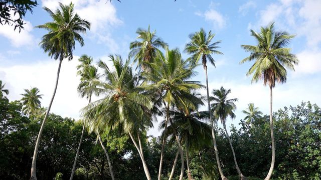Vignette du programme télé Invitation au voyage