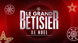 Vignette du programme télé Le grand bêtisier de Noël *2014