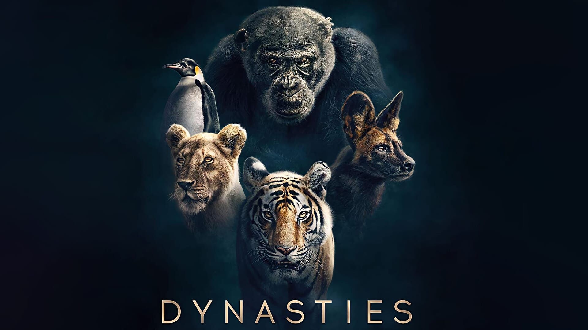 Vignette du programme télé Dynasties