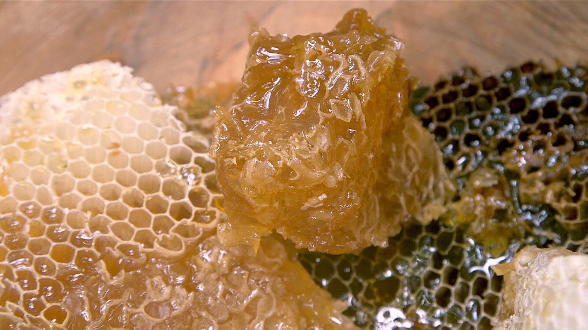 Vignette du programme télé Les maîtres des abeilles