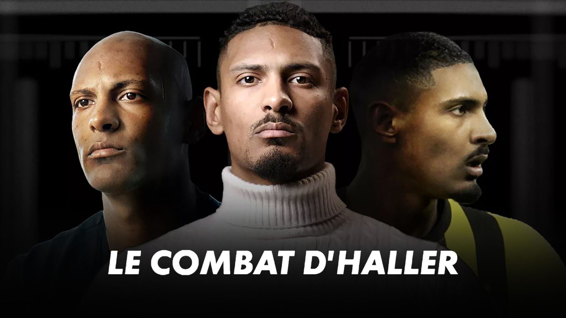Vignette du programme télé Le combat d'Haller