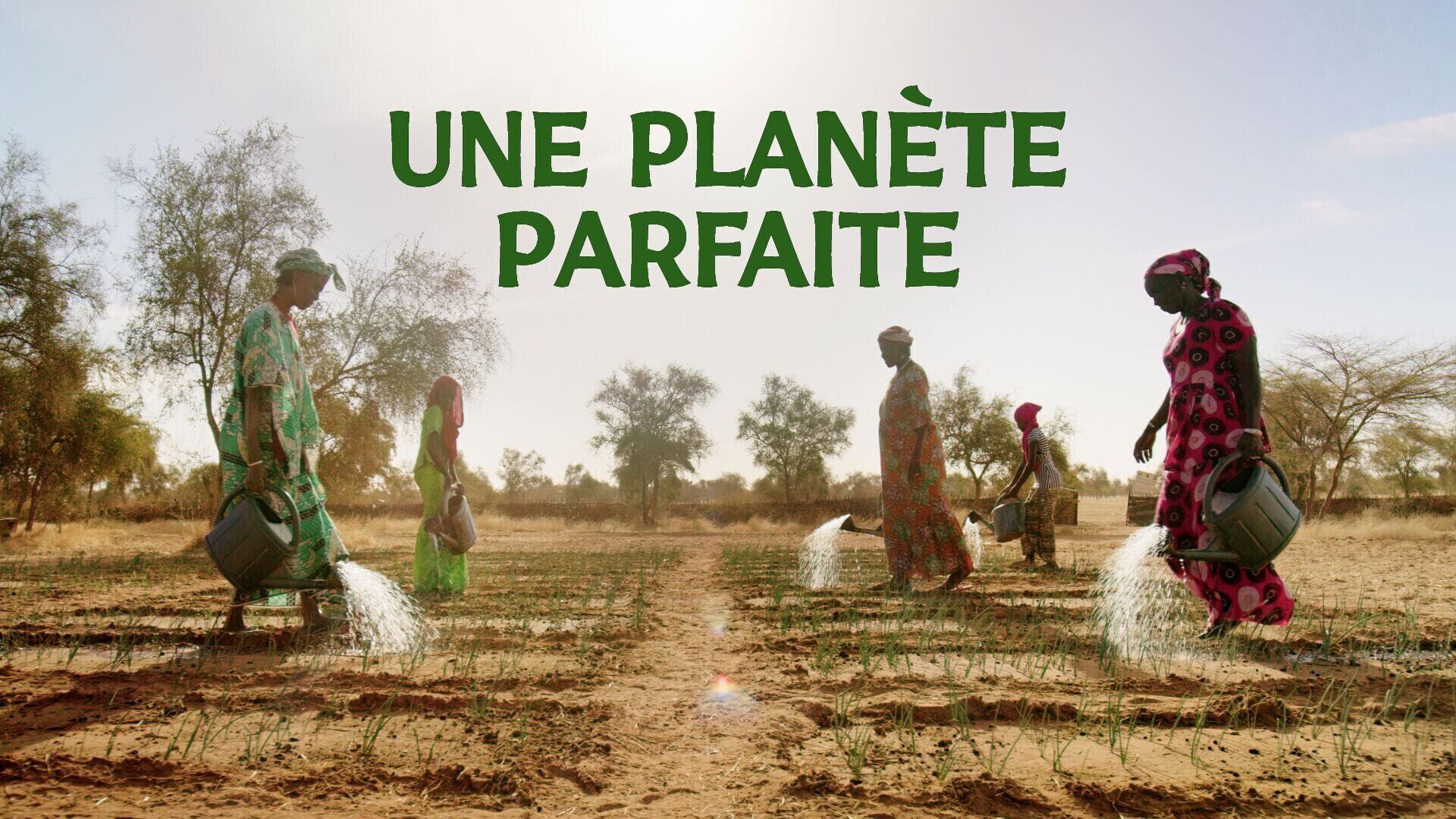 Vignette du programme télé Une planète parfaite