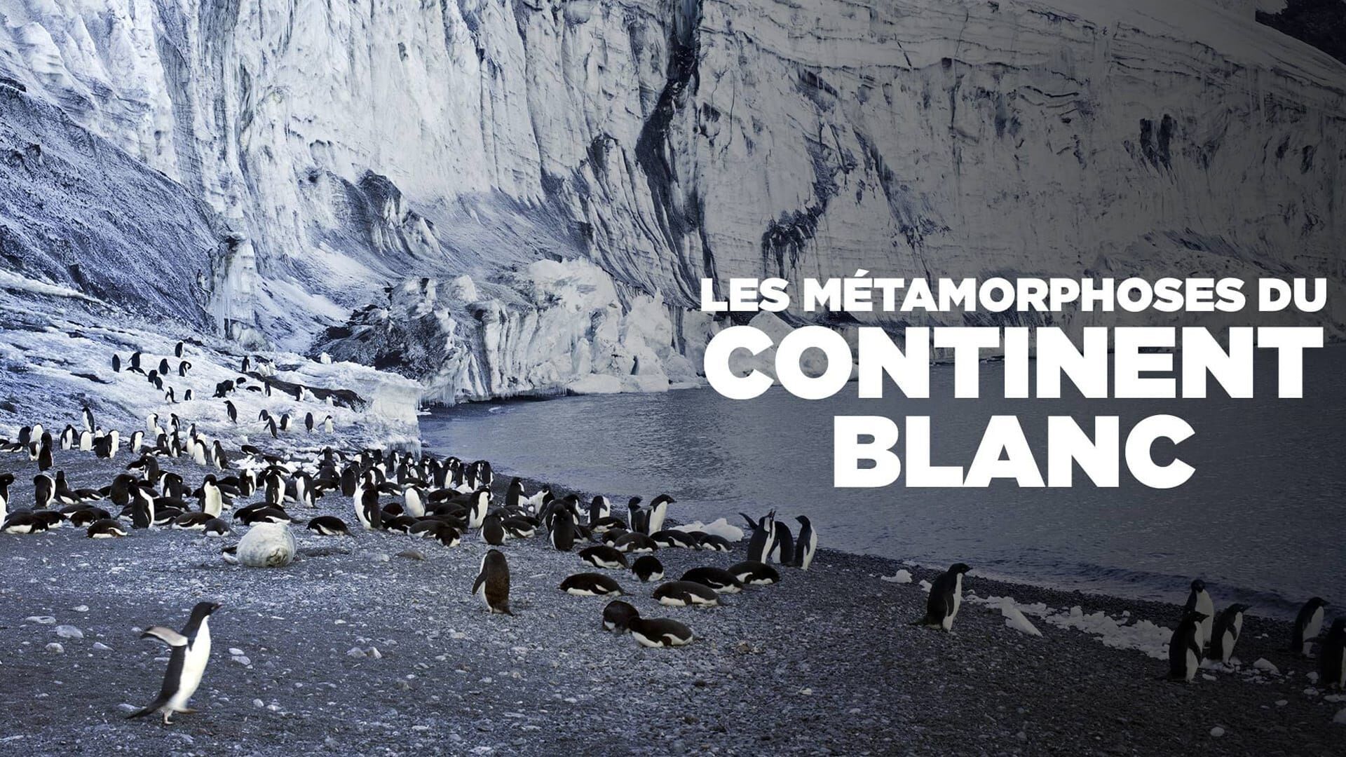 Vignette du programme télé Les métamorphoses du continent blanc