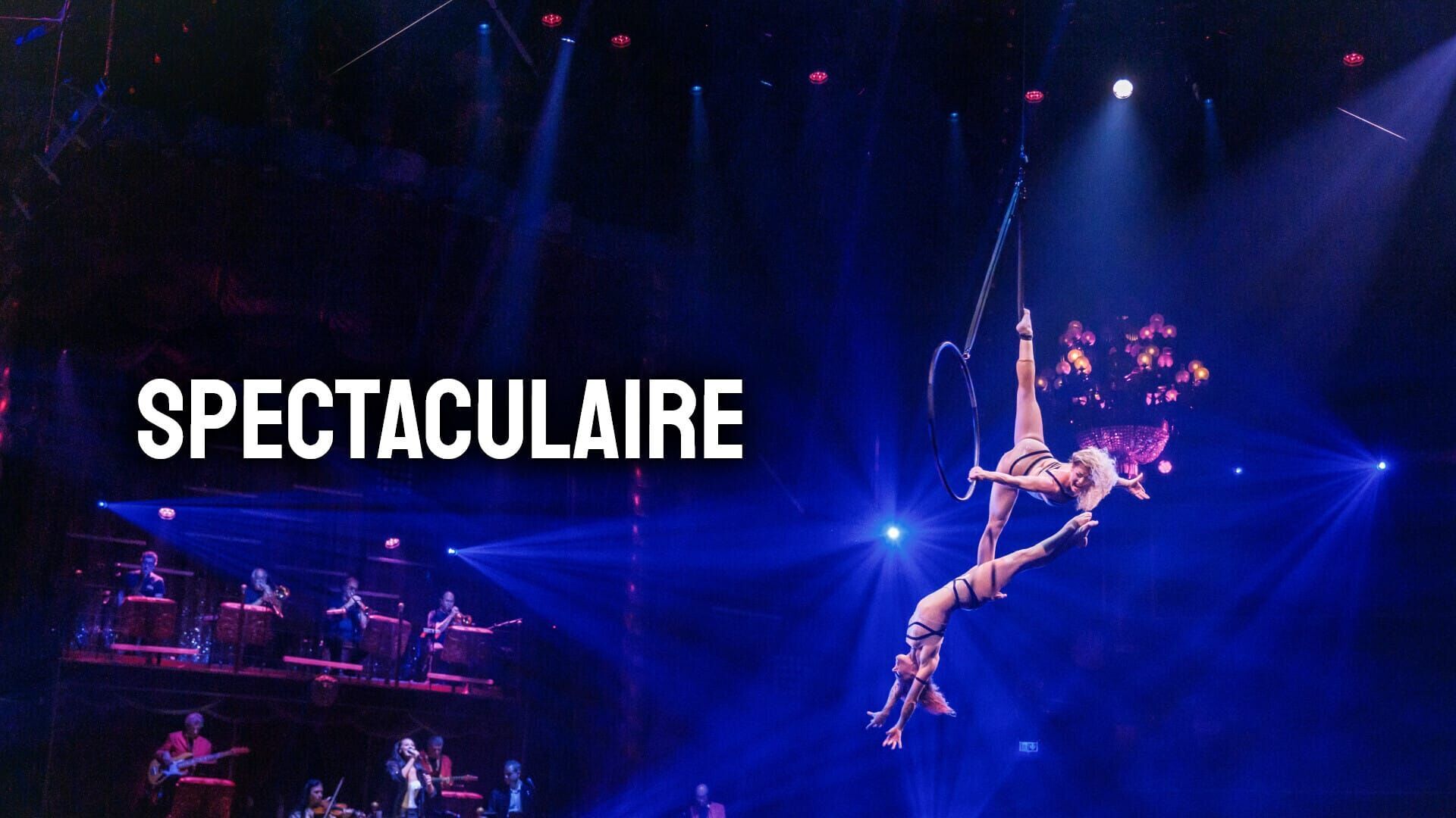 Vignette du programme télé Spectaculaire