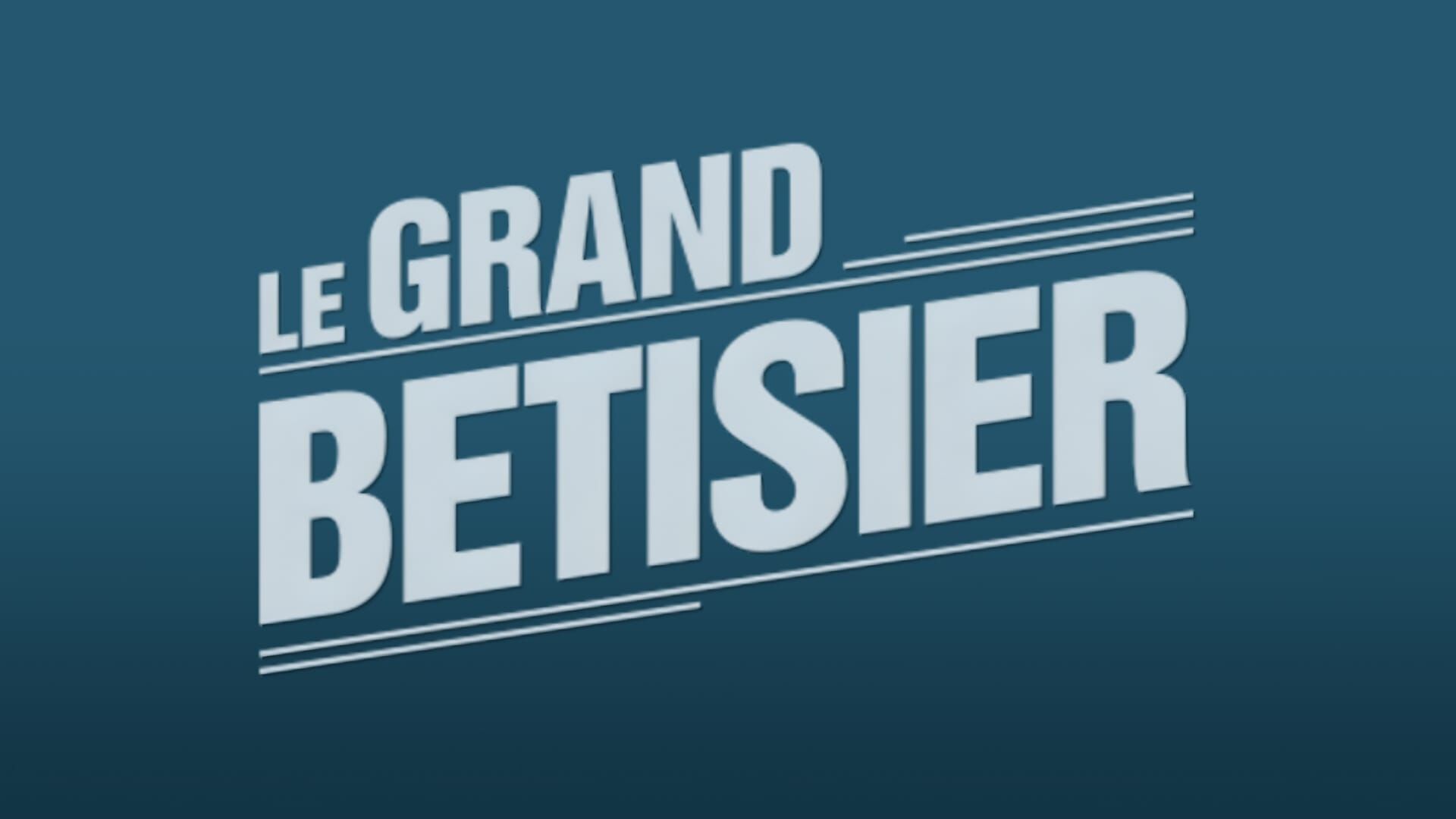 Vignette du programme télé Le grand bêtisier