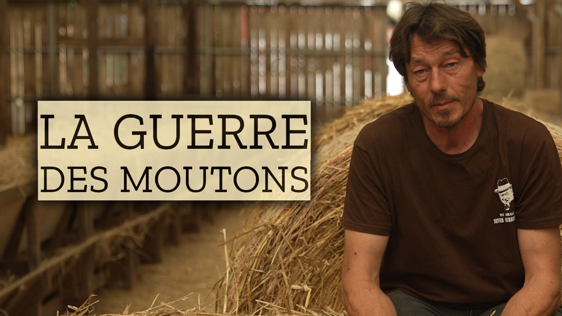 Vignette du programme télé La guerre des moutons