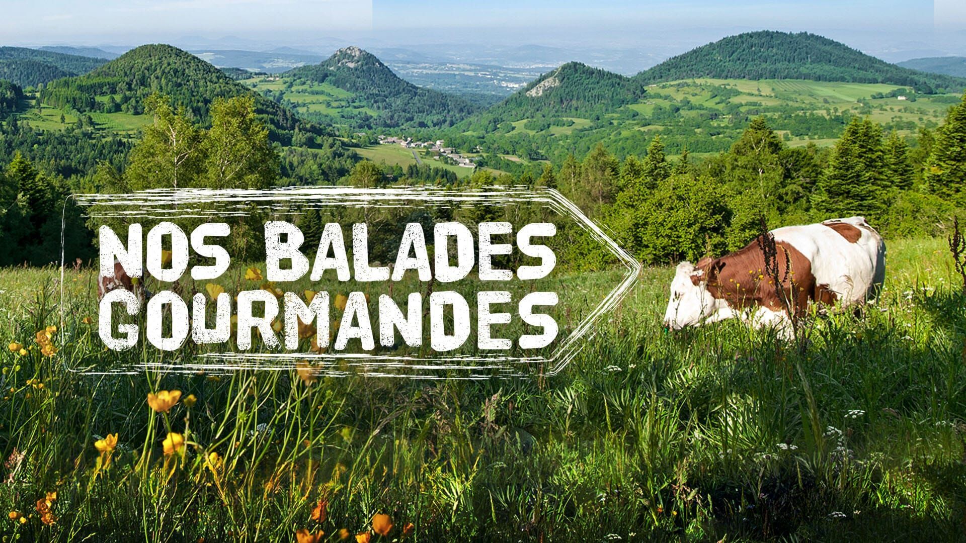 Vignette du programme télé Nos balades gourmandes