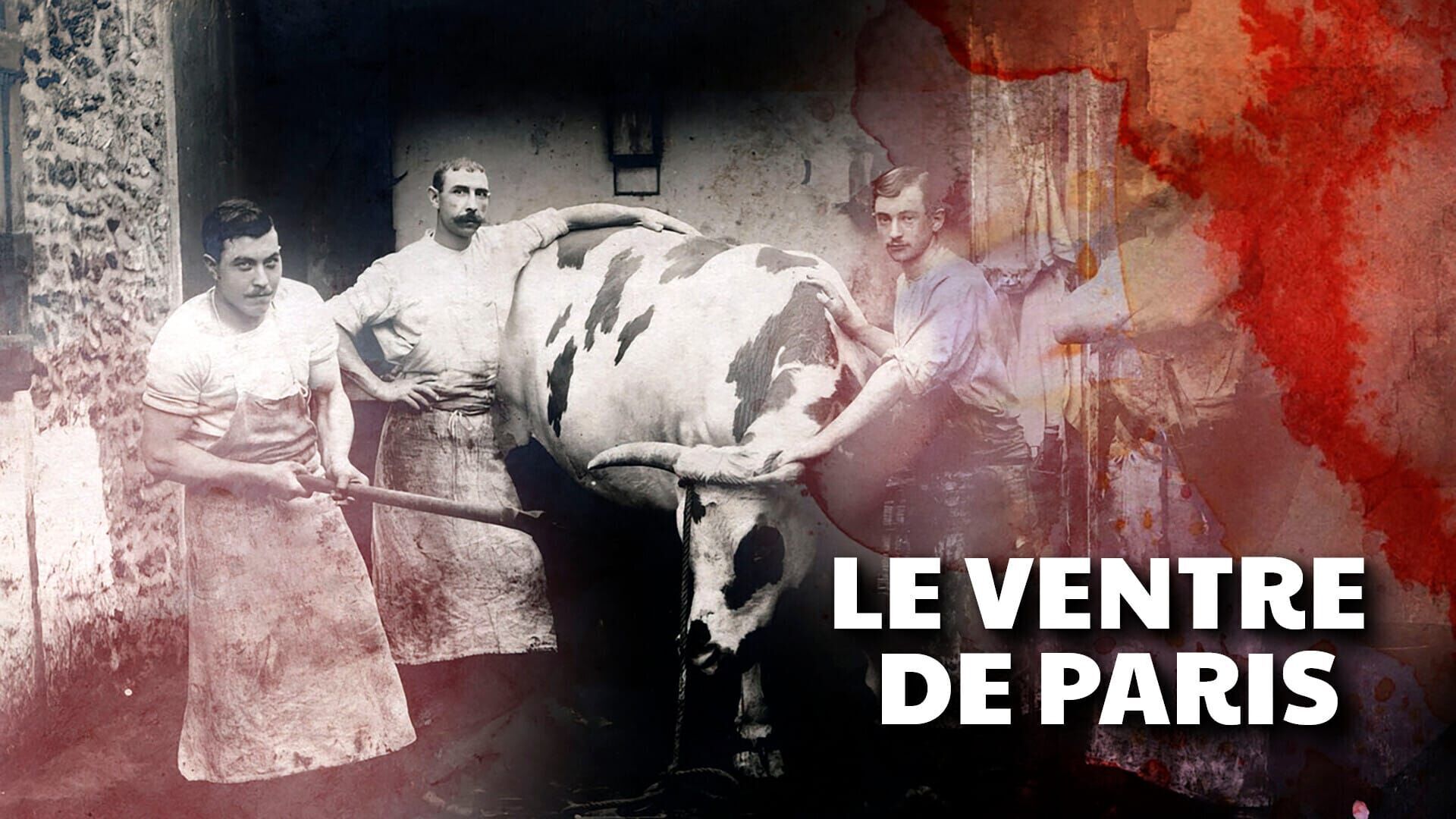 Vignette du programme télé Le ventre de Paris