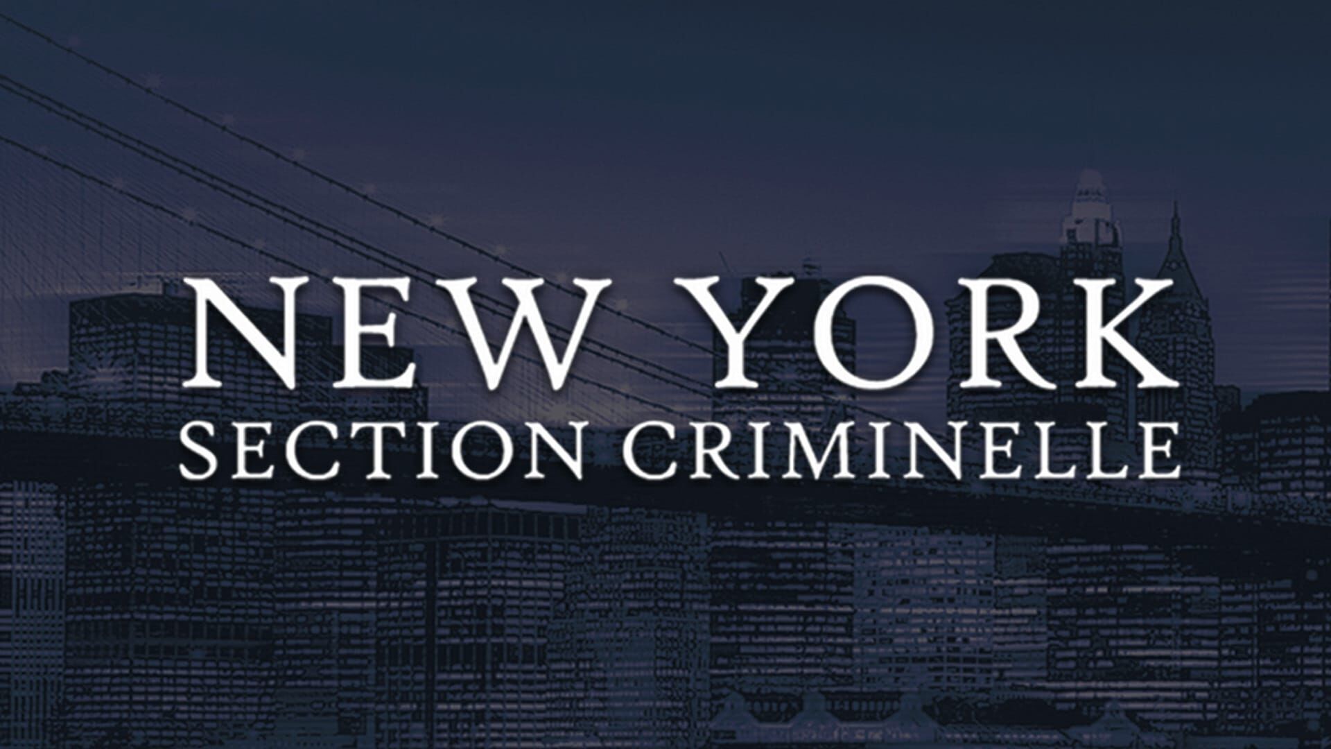 Vignette du programme télé New York, section criminelle