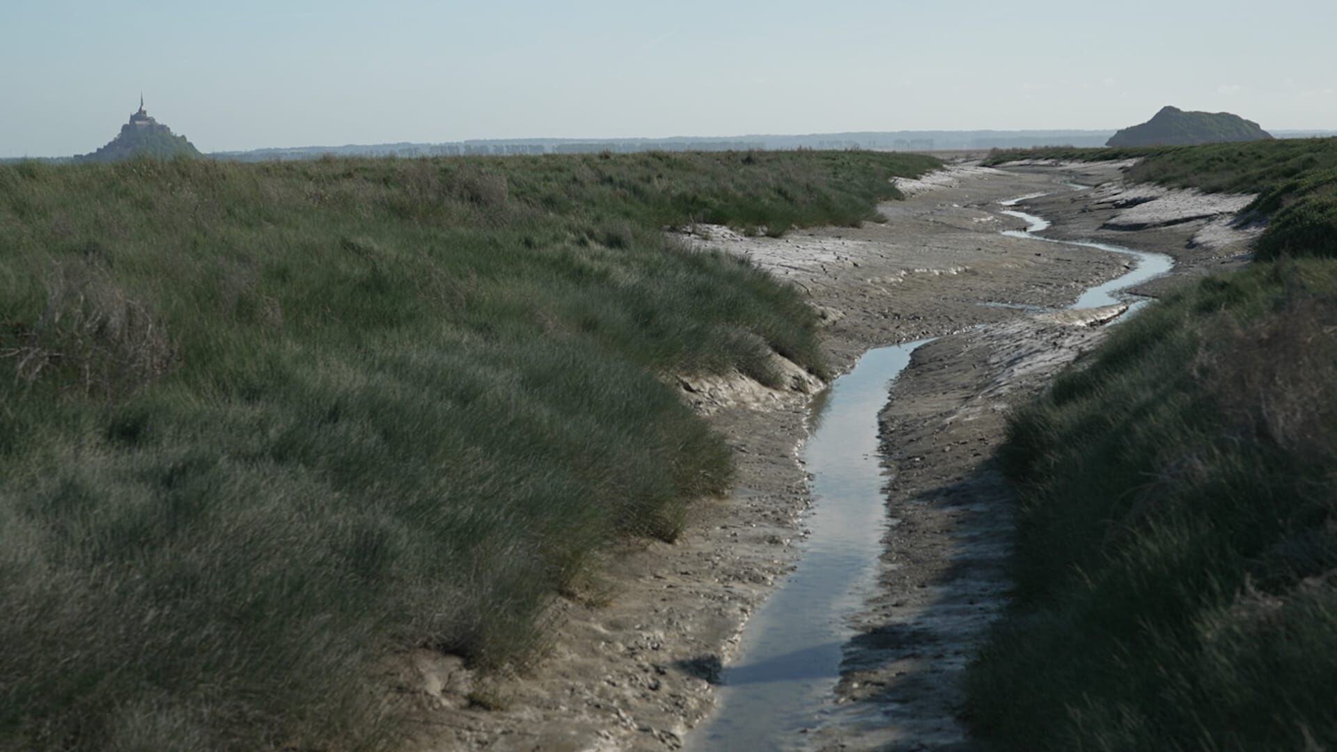 Vignette du programme télé La guerre des moutons
