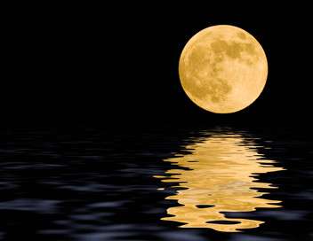 Vignette du programme télé Programmes de nuit