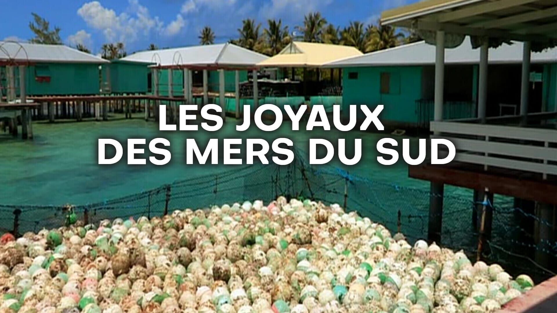 Vignette du programme télé Les joyaux des mers du Sud