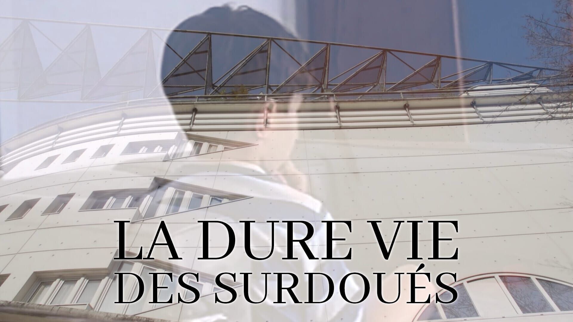 Vignette du programme télé La dure vie des surdoués