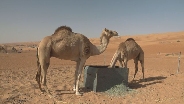 Vignette du programme télé Invitation au voyage
