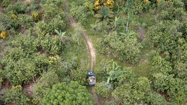 Vignette du programme télé L'Afrique vue du ciel - Saison 1