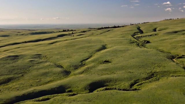 Vignette du programme télé Canada, la force de la nature
