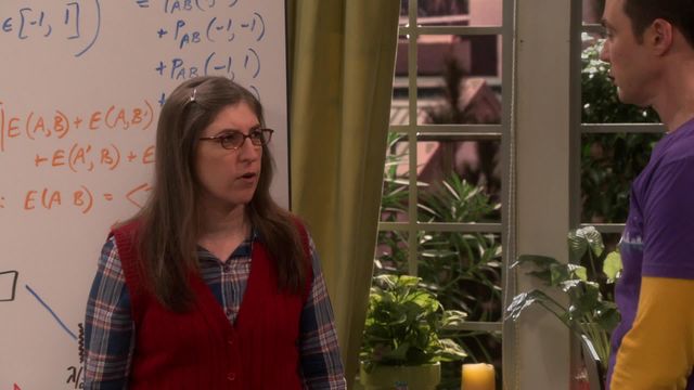 Vignette du programme télé Big Bang Theory - Saison 10