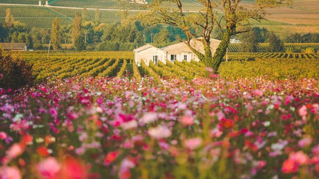 Vignette du programme télé M comme Maison